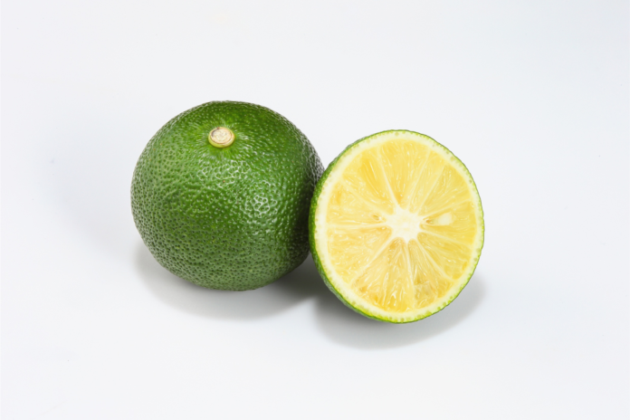 Frutti di lime (Citrus aurantifolia), ricchi di citrato e flavonoidi con potenziale azione preventiva sui calcoli renali
