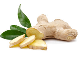 Estratto di zenzero al vapore: effetti su grasso corporeo e metabolismo estratto di zenzero per perdita di peso e metabolismo