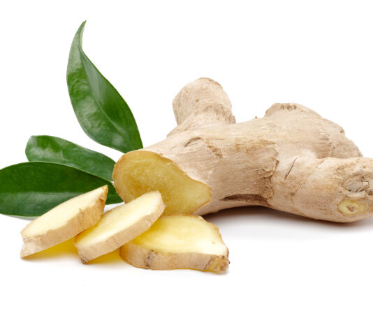 Estratto di zenzero al vapore: effetti su grasso corporeo e metabolismo estratto di zenzero per perdita di peso e metabolismo