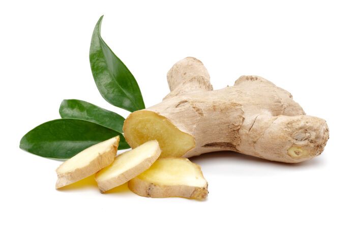 estratto di zenzero per perdita di peso e metabolismo