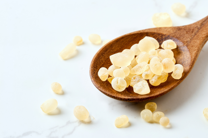 mastica di Chios dispepsia funzionale