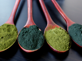 Potenzialità delle alghe edibili nel controllo della pressione arteriosa Alghe per ipertensione