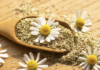 Effetti positivi della camomilla nella gestione dei sintomi della menopausa Camomilla per i sintomi della menopausa