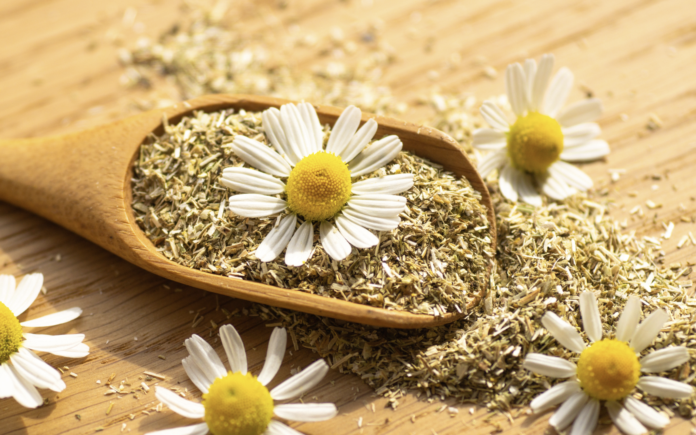 Camomilla per i sintomi della menopausa