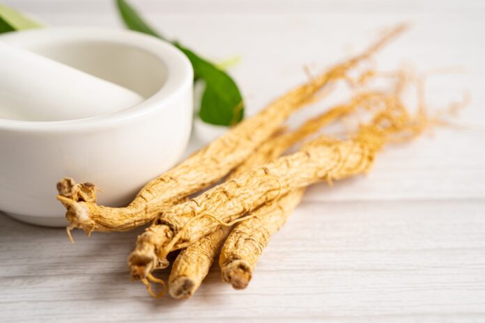ginseng e rischio cardiovascolare