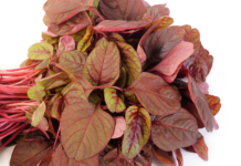 Polvere di spinacio rosso: effetti positivi sulla performance muscolare negli esercizi di resistenza spinacio rosso nitrati