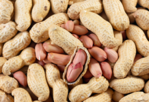 Arachidi nella dieta quotidiana: impatto su memoria e salute vascolare arachidi per memoria e circolazione cerebrale