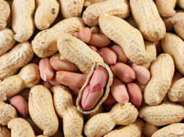 Arachidi nella dieta quotidiana: impatto su memoria e salute vascolare arachidi per memoria e circolazione cerebrale