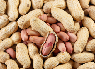 Arachidi nella dieta quotidiana: impatto su memoria e salute vascolare arachidi per memoria e circolazione cerebrale