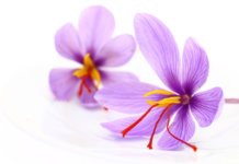 Antiossidanti dallo zafferano: la crocetina per la salute cardiovascolare crocetina zafferano benefici cardiovascolari