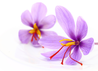 Antiossidanti dallo zafferano: la crocetina per la salute cardiovascolare crocetina zafferano benefici cardiovascolari