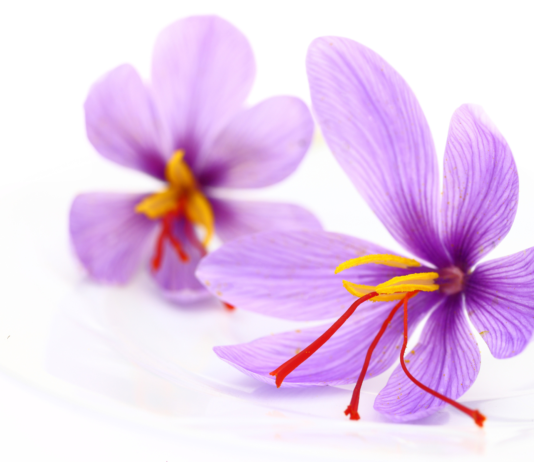 Antiossidanti dallo zafferano: la crocetina per la salute cardiovascolare crocetina zafferano benefici cardiovascolari