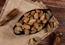 Terminalia chebula nella ricerca moderna: attività biologica, tossicologia e terapie combinate Terminalia chebula proprietà farmacologiche