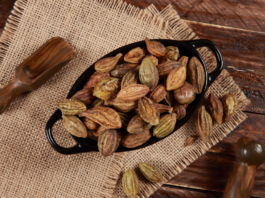 Terminalia chebula nella ricerca moderna: attività biologica, tossicologia e terapie combinate Terminalia chebula proprietà farmacologiche