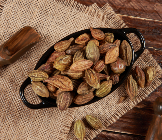 Terminalia chebula nella ricerca moderna: attività biologica, tossicologia e terapie combinate Terminalia chebula proprietà farmacologiche