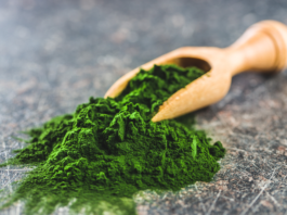 Chlorella vulgaris, proprietà nutrizionali e benefici per la salute cardiovascolare Chlorella vulgaris benefici