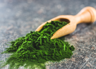 Chlorella vulgaris, proprietà nutrizionali e benefici per la salute cardiovascolare Chlorella vulgaris benefici