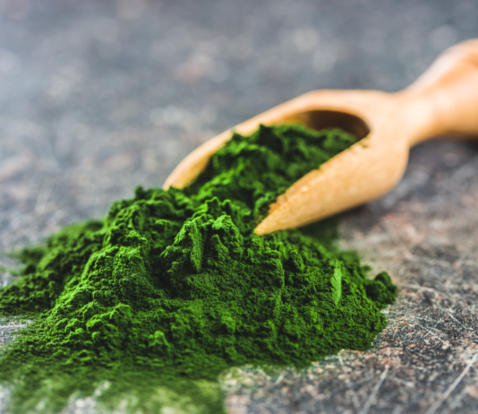 Chlorella vulgaris, proprietà nutrizionali e benefici per la salute cardiovascolare Chlorella vulgaris benefici