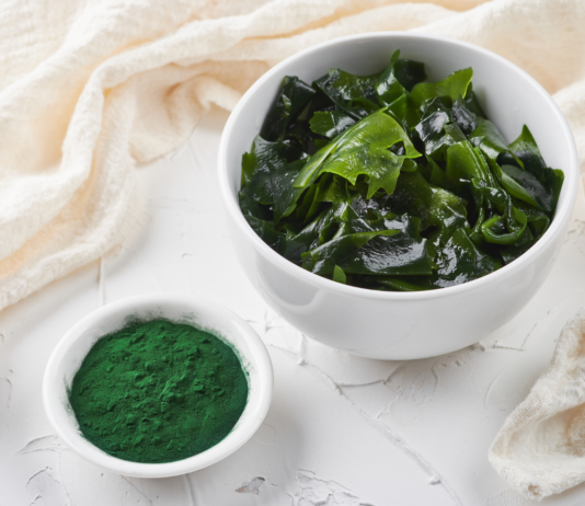 Spirulina platensis: i peptidi bioattivi migliorano la guarigione dopo chirurgia parodontale Spirulina platensis guarigione parodontale