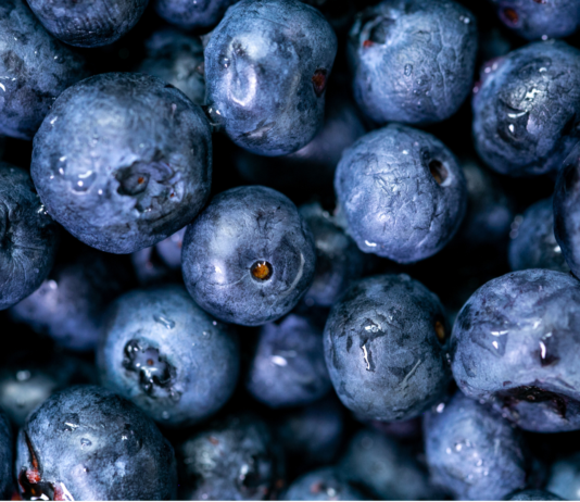 Presbiopia: antociani e iridoidi dei frutti di bosco per la funzione visiva presbiopia e antociani