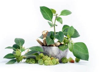 Un estratto standardizzato di Withania somnifera attivo per la gestione di stress e ansia dei pazienti ipertesi Ashwagandha per stress e ansia dei pazienti ipertesi
