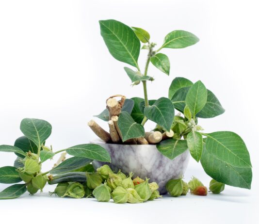 Un estratto standardizzato di Withania somnifera attivo per la gestione di stress e ansia dei pazienti ipertesi Ashwagandha per stress e ansia dei pazienti ipertesi