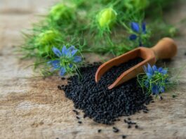 Applicazione di oli di Nigella sativa e sesamo per la prevenzione delle flebiti Nigella Sativa e sesamo per flebiti