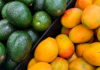 Gli effetti di avocado e mango sulla funzione endoteliale e sui fattori di rischio cardiometabolico effetti di avocado e mango su funzione endoietale