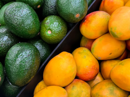 Gli effetti di avocado e mango sulla funzione endoteliale e sui fattori di rischio cardiometabolico effetti di avocado e mango su funzione endoietale
