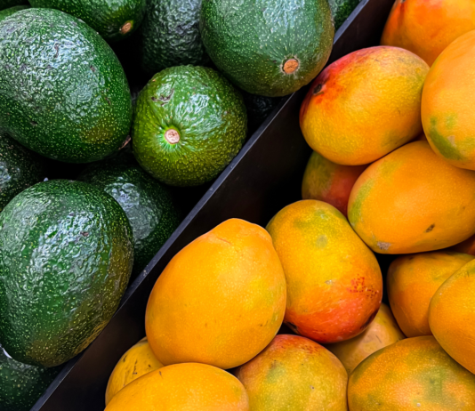Gli effetti di avocado e mango sulla funzione endoteliale e sui fattori di rischio cardiometabolico effetti di avocado e mango su funzione endoietale