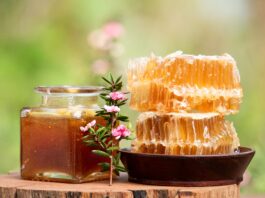 Non solo Manuka: le potenzialità salutistiche dei mieli dell’Oceania mieli medicinali oceania