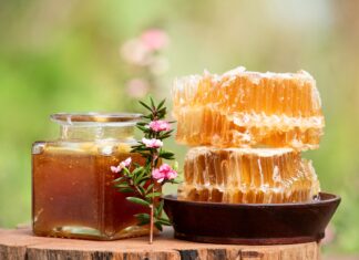 Non solo Manuka: le potenzialità salutistiche dei mieli dell’Oceania mieli medicinali oceania