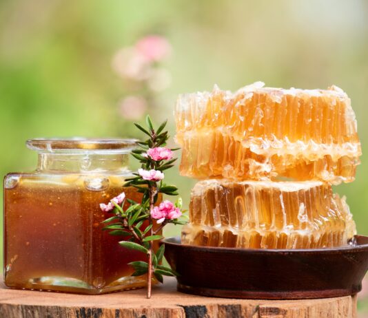 Non solo Manuka: le potenzialità salutistiche dei mieli dell’Oceania mieli medicinali oceania
