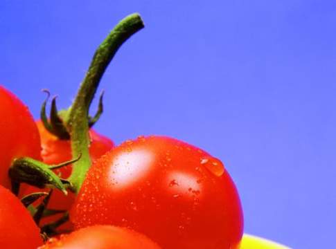 In Italia il Congresso mondiale del pomodoro