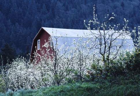 Come abbassare i costi di riscaldamento