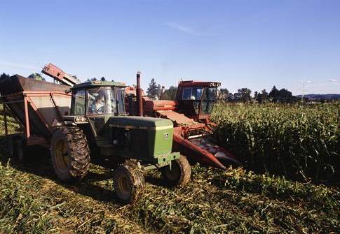 In crescita mercati esteri e produzione italiana