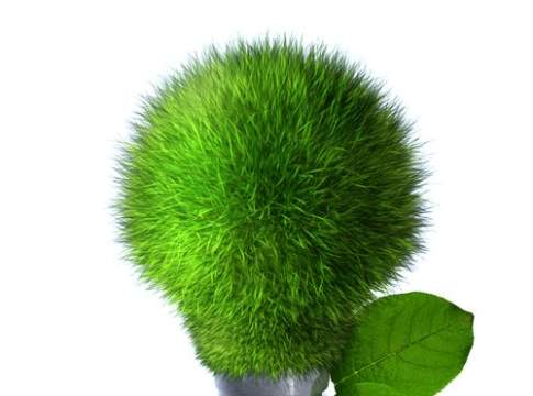 Agroenergie italiane: avanti tutta!