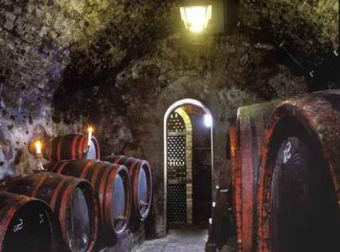 Dalla vite alla bottiglia