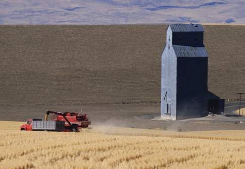 Nei paesi ricchi del mondo si torna all’agricoltura