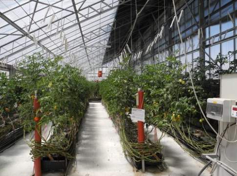 L’integrazione possibile