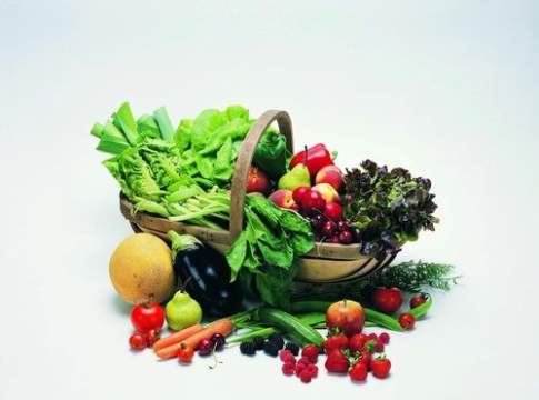 Margini di redditività bassi per le imprese