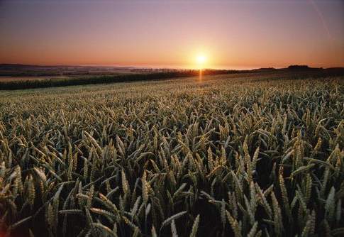 Consumo di suolo, serve una svolta