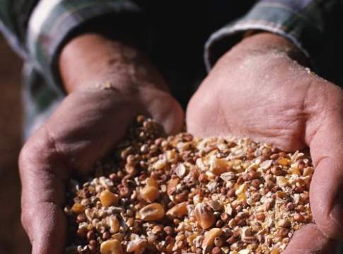 L’utopia dei semi liberi