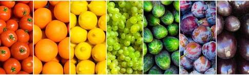 La prima “Isola della Bottega Italiana” del Veneto