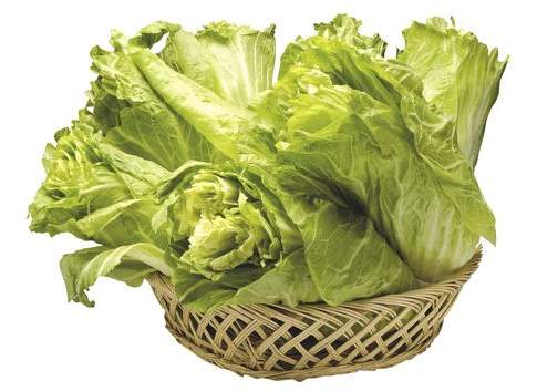 Crollano i prezzi delle verdure