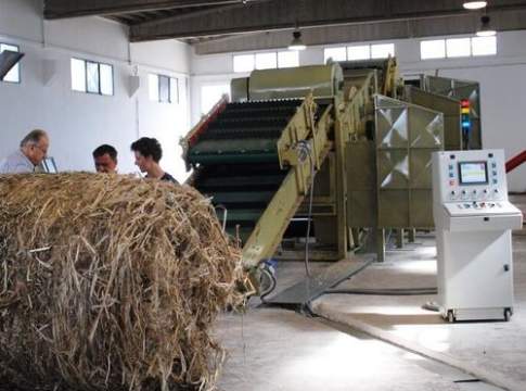 La riscossa della canapa