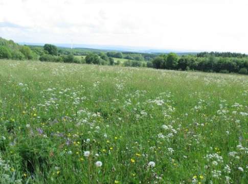 Un piano di settore nazionale per le bioenergie