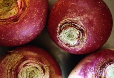 Diminuisce la fiducia delle imprese agricole…