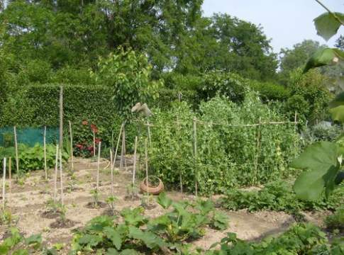 C’è crisi? E io mi faccio l’orto…