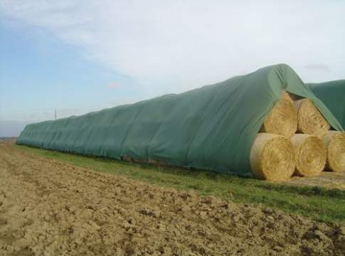 Agroenergie: siamo sulla via giusta?